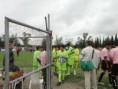 /album/copa-telmex/dsc06441-jpg/
