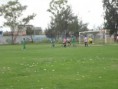 /album/copa-telmex/dsc06518-jpg/